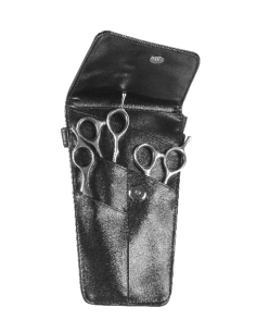 KIT CISEAUX 5.5 FUJIKA 2