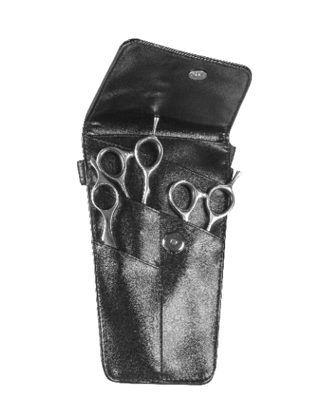 KIT FUJIKA-55 ERGO GAUCHER CIS+RAS+LAME+TROUS.   P