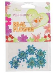 00-SINA-MANUC FLEURS BRUN-JAUNE DECOR  + 2