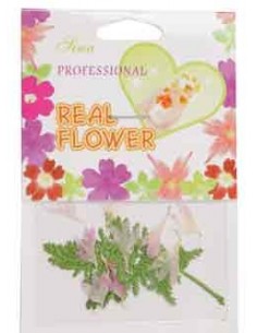 00-SINA-MANUC FLEURS ROSE       DECOR            P