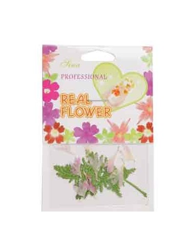 00-SINA-MANUC FLEURS ROSE       DECOR            P