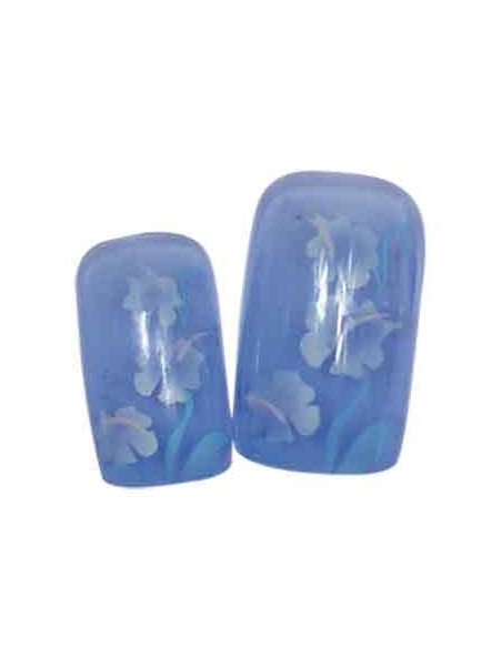 00-SINA FX ONG x24 ORKIS BLEUE       TF          