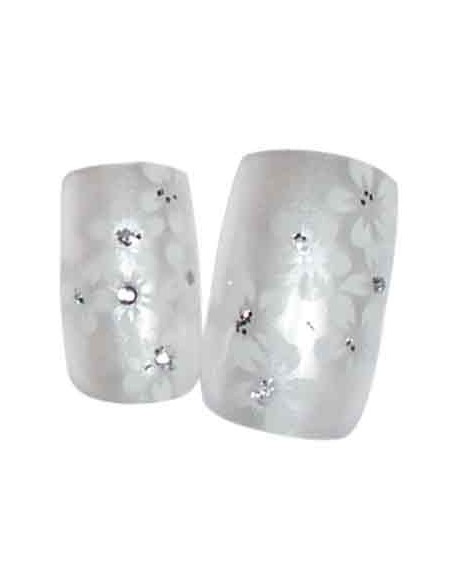 00-SINA FX ONG x24 ORKIS BLANCHE              TF-P