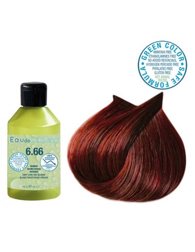 EAU DE COULEUR N°6.66 Flac.60ml BL.CL.ROUG.INTES-P