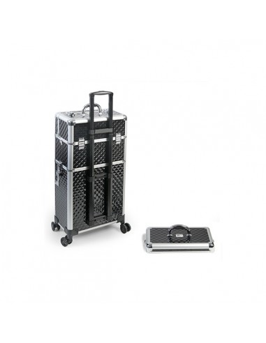 VALISE BI-CAZ-2 NOIRE 4-ROLLY...