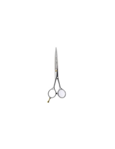 Ciseaux Ysaky Goldpoint Gaucher 60 Stand