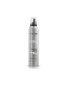 Mousse colorante Argent -...